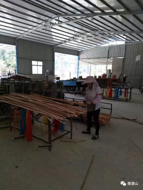 这个潜山人辞去上海高薪工作,回乡创业做 竹 老板